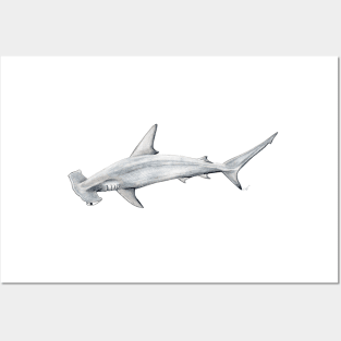 Hammerhead shark for shark lovers Posters and Art